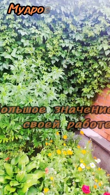 26 июня.
АСТРОЛОГИЯ ДНЯ.

Энергичны и добросовестны.
Придаем большое значение своей работе. 
(Делаем