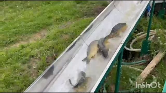 1000091226.mp4