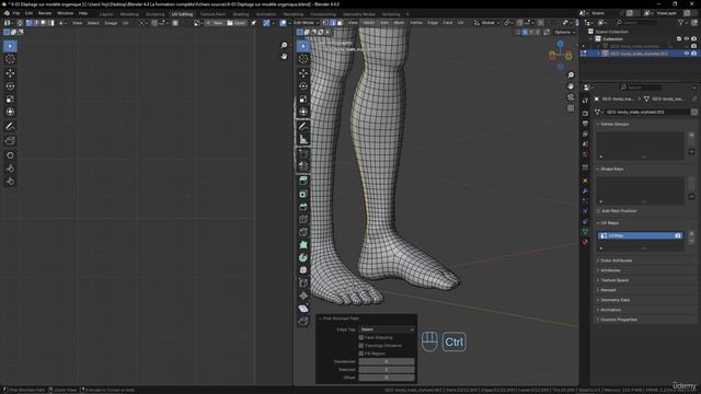 42 - 93 Unwrapping Organic Models