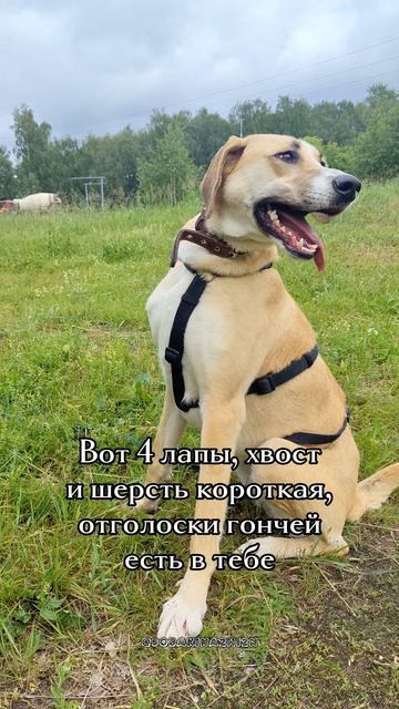 Кто тебя создАл такУю