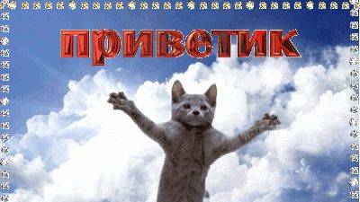 рад знакомству!