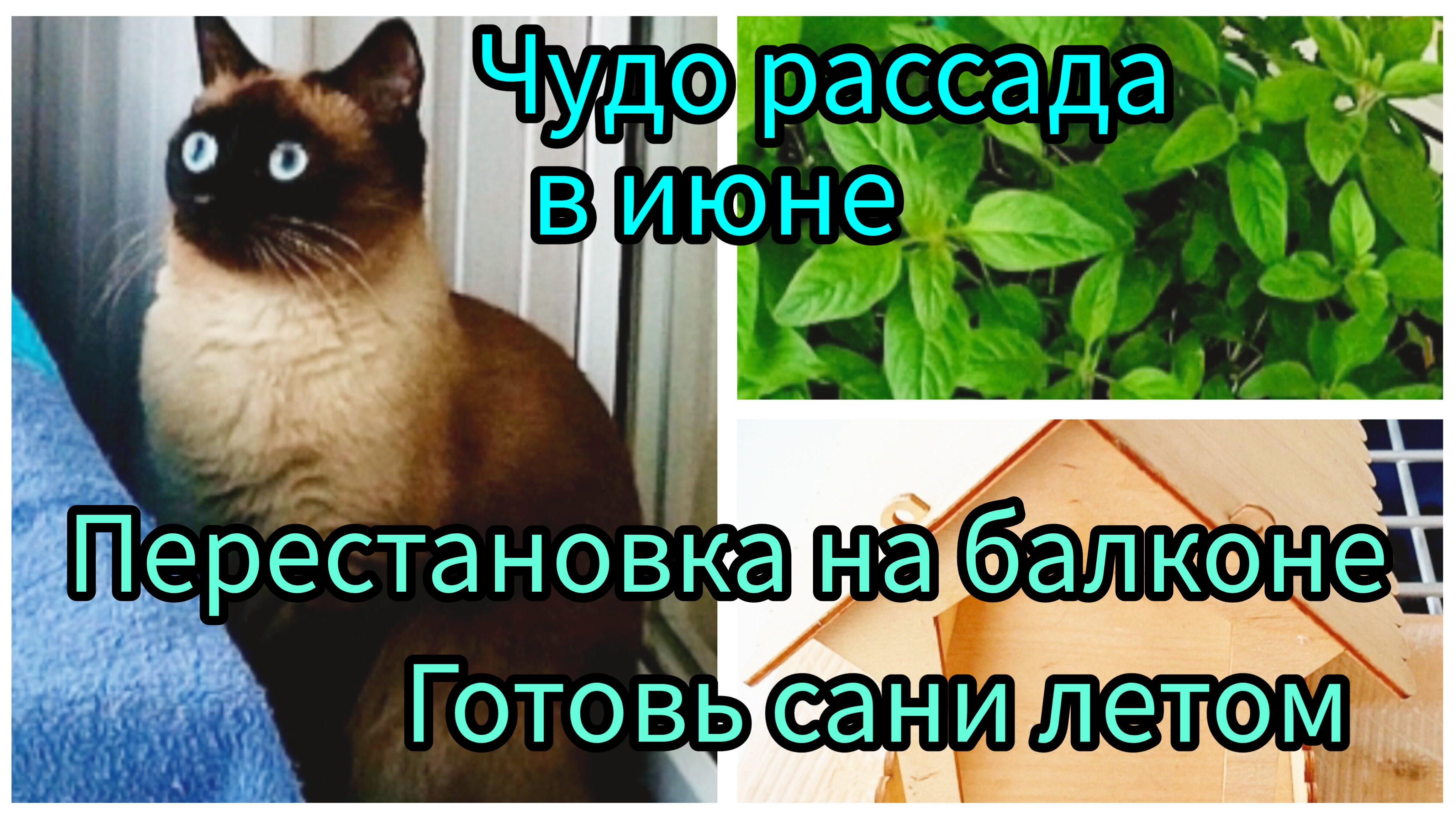 На балконе перестановка 26-06-2025 #обзор