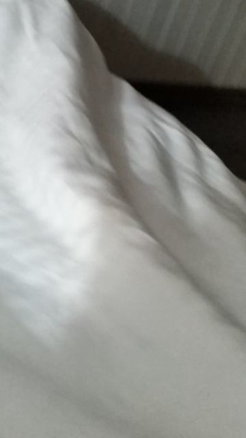 VID_20250614_000846.mp4