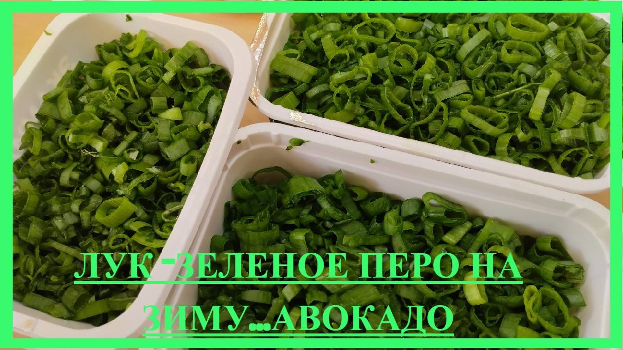 ЗАГОТОВКА ЛУКА зеленое перо НА  ЗИМУ,,,АВОКАДО