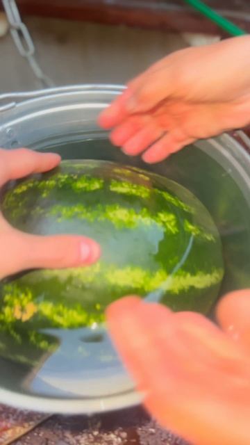 Выловили двухлетний арбуз из колодца..🫢🍉🪣