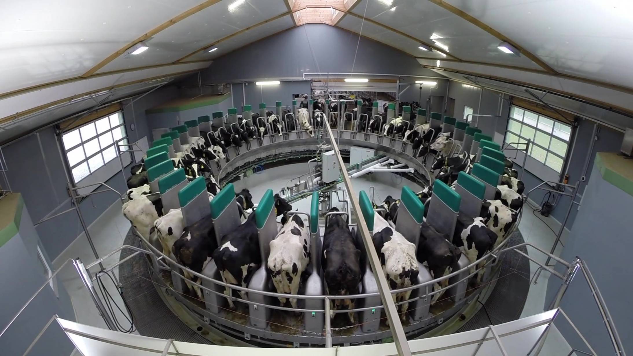 GEA’s DairyProQ