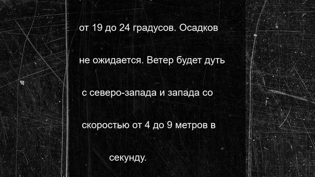 Погода в Омской области 26 июня: тепло, без осадков и облаков