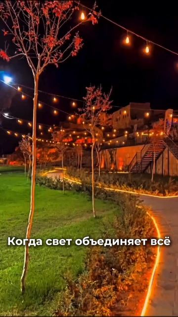 Когда свет объединяет все