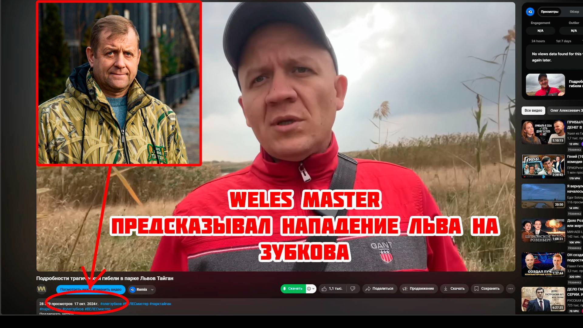 WELES MASTER предсказывал нападение льва на Зубкова в Тайгане!