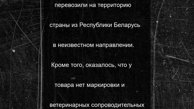 Около 3,5 тонны говядины не пропустили через границу Псковской области