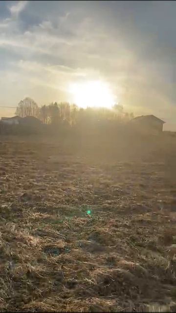 Видео WhatsApp 2025-06-23 в 14.19.13_c5275bca