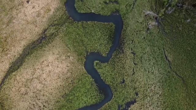 Меандры в Курайской степи, Алтай.
