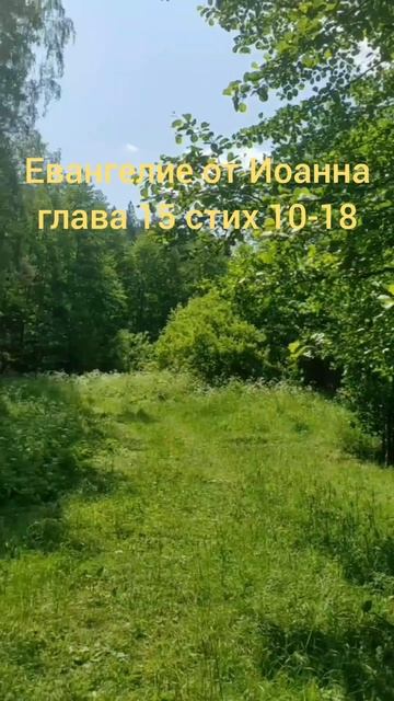 Евангелие от Иоанна глава 15 стих 10-18