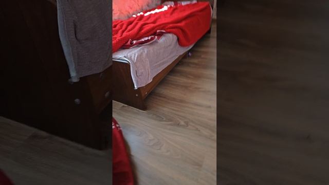 1000006657.mp4