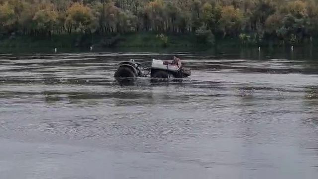 самый быстрый каракат на воде