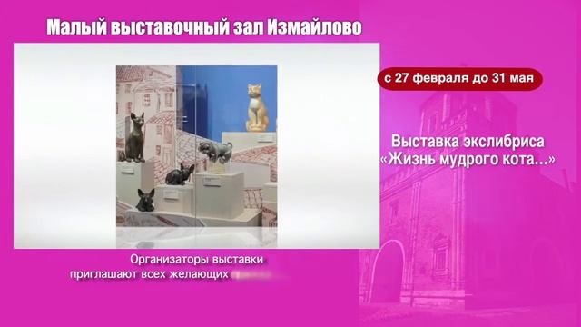 Выставка Жизнь мудрого кота
