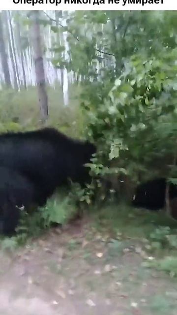 Бессмертный!😳