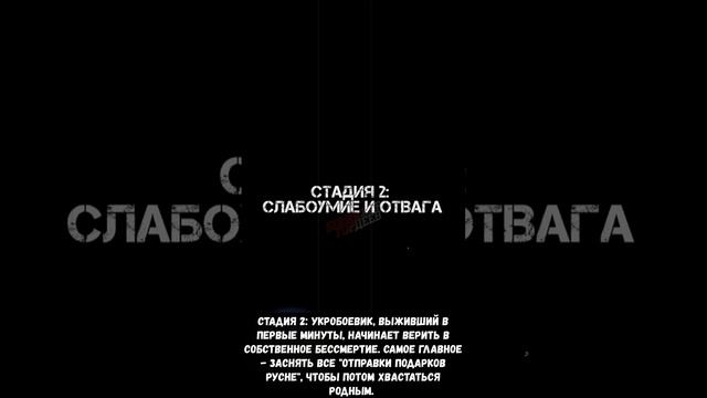 Три стадии жизни укробоевика с момента могилизации и до момента утилизации пример 25 омпб "Хортица"