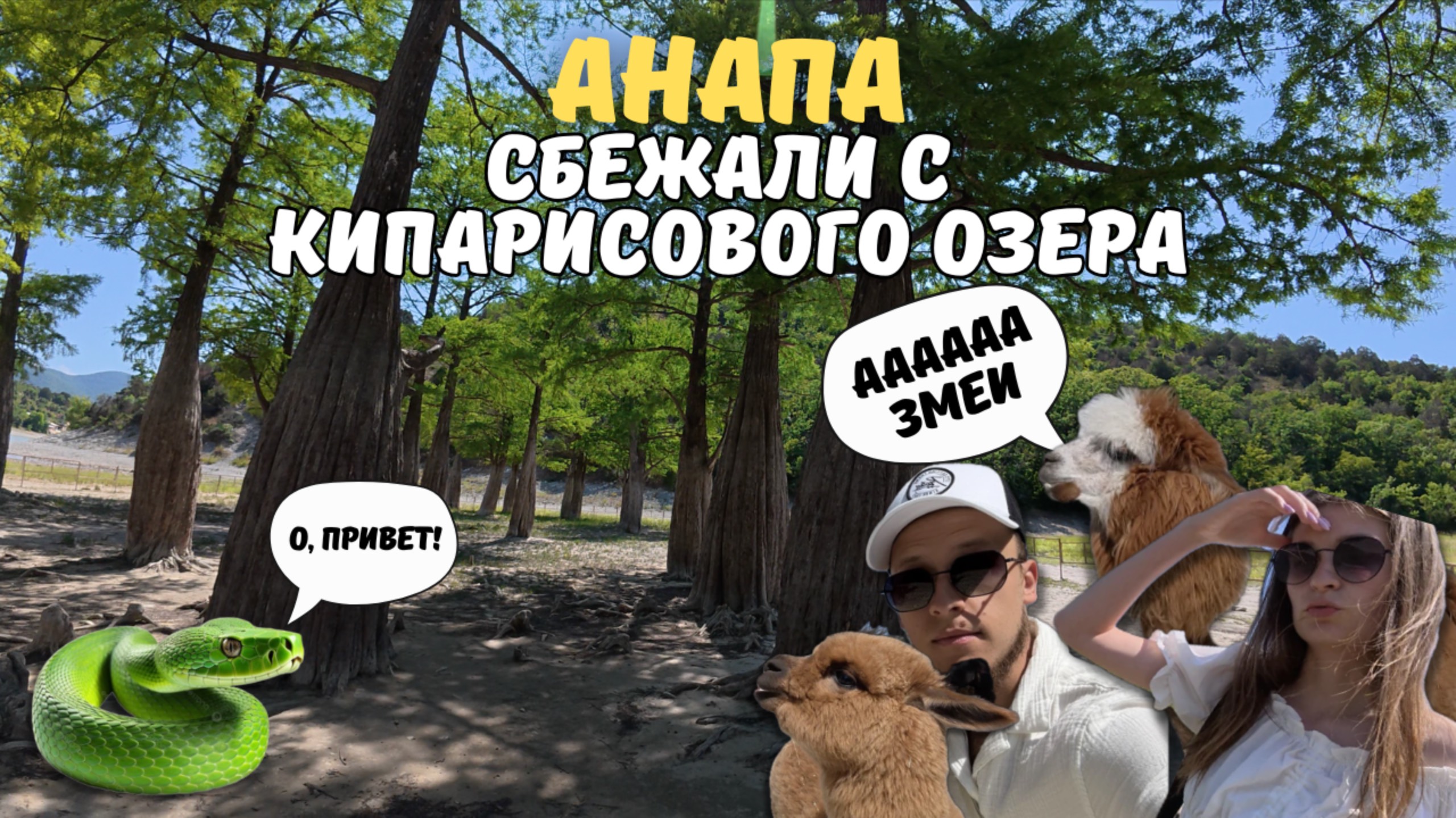Сбежали с Кипарисового озера: Невероятные приключения!