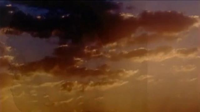 Клон-наши дети