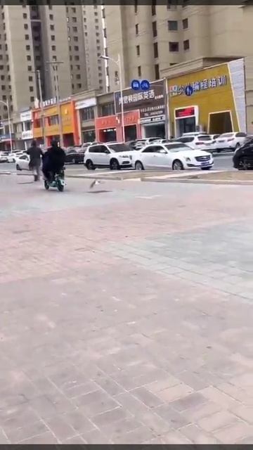 ЧУДО-ПТИЧКА )))))