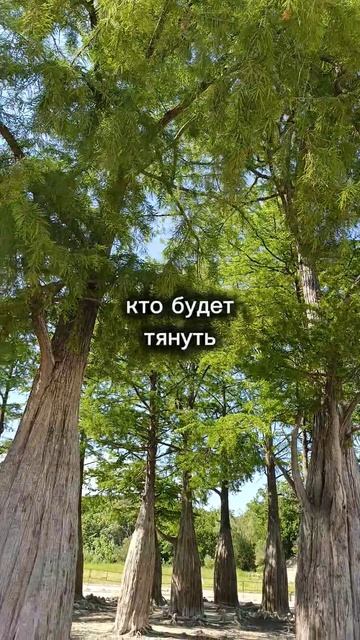 мудрость жизни для жизни #мудрость #мотивация #мысли #идеи #счастье #жизнь #личность #коучинг #мир
