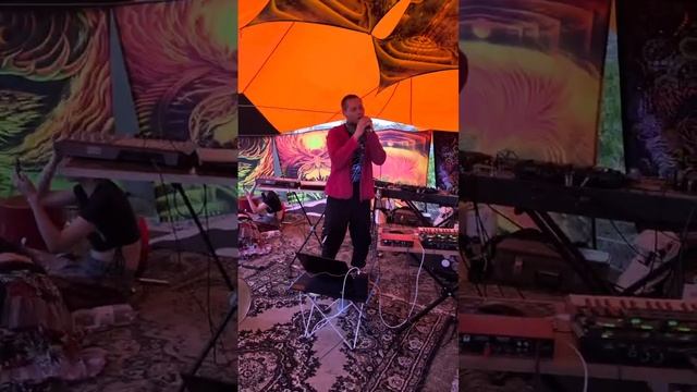 The DLFX - Под баян 
на фестивале MiddleWay