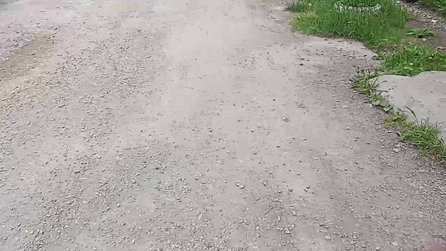 спасаю котят