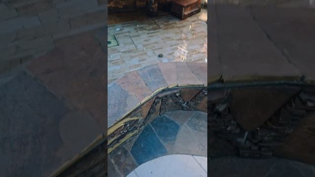 1000006665.mp4