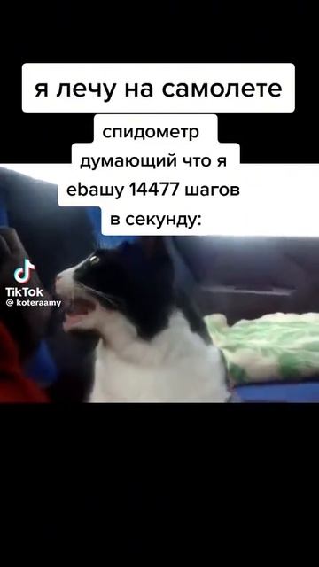 Пов:ты летишь на самолете тем временем твои часы