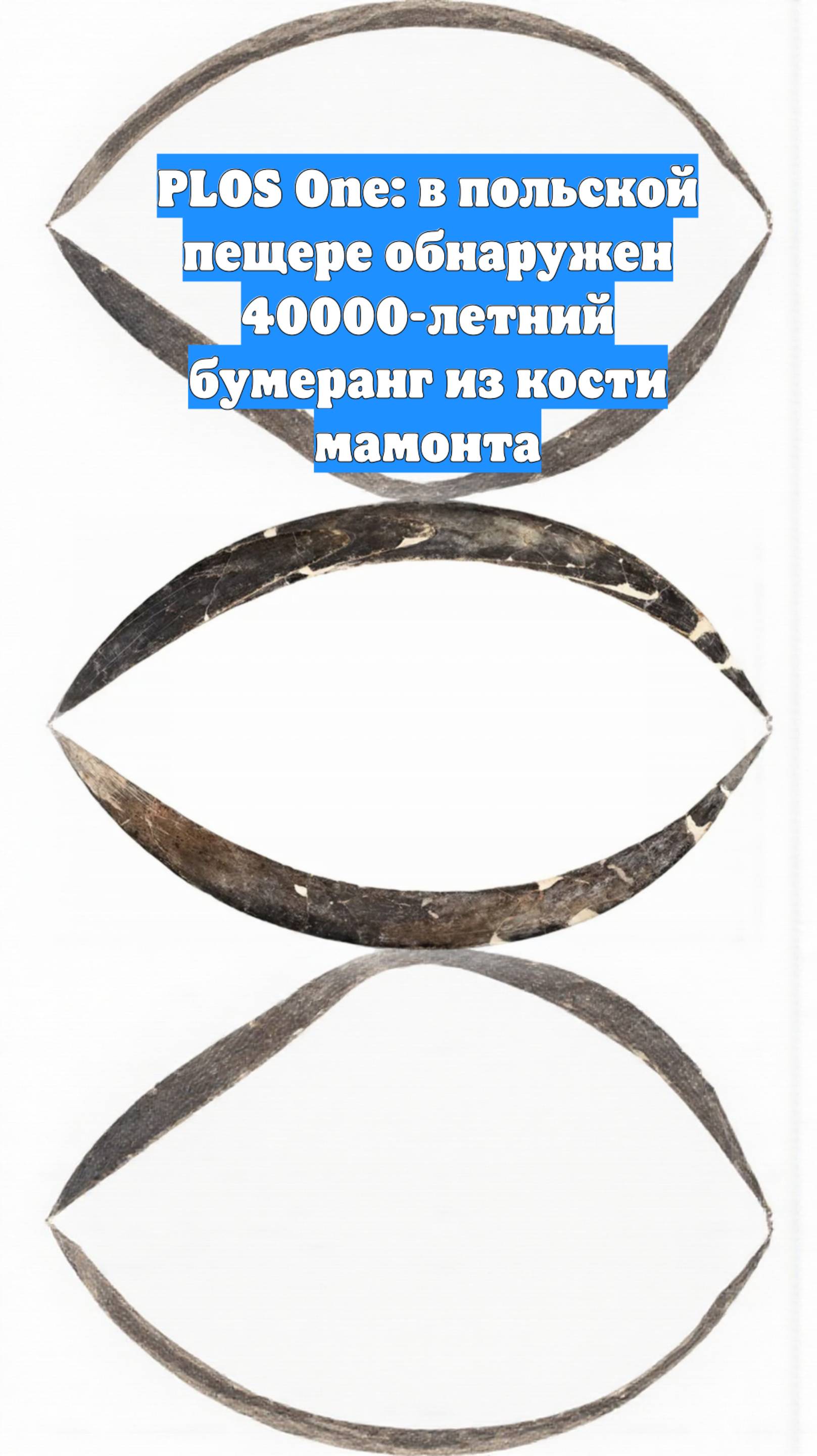 PLOS One: в польской пещере обнаружен 40000-летний бумеранг из кости мамонта