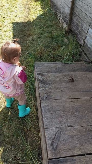 Есения и лягушка 🐸 

#дети #семья #дочка #будни #жизнь