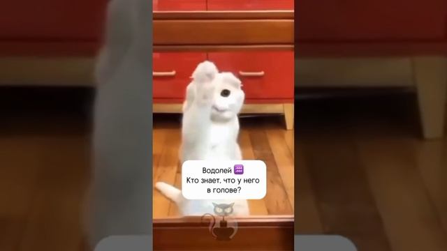 🌈Друзья, подписывайтесь!💥