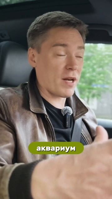 Влага в доме? Спасайся!