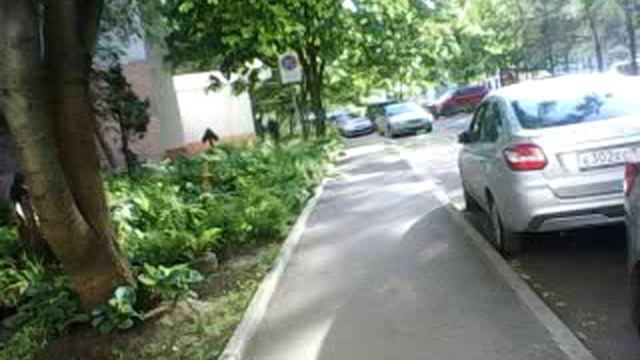 ВЕСЕННЕ-ЛЕТНИЙ МИНИ-БЛОГ №1429 ОТ МАГАЗА И ДО ПАДИКА...😉😉😉