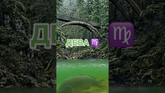 🌈Друзья, подписывайтесь!💥