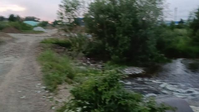 утки прячутся