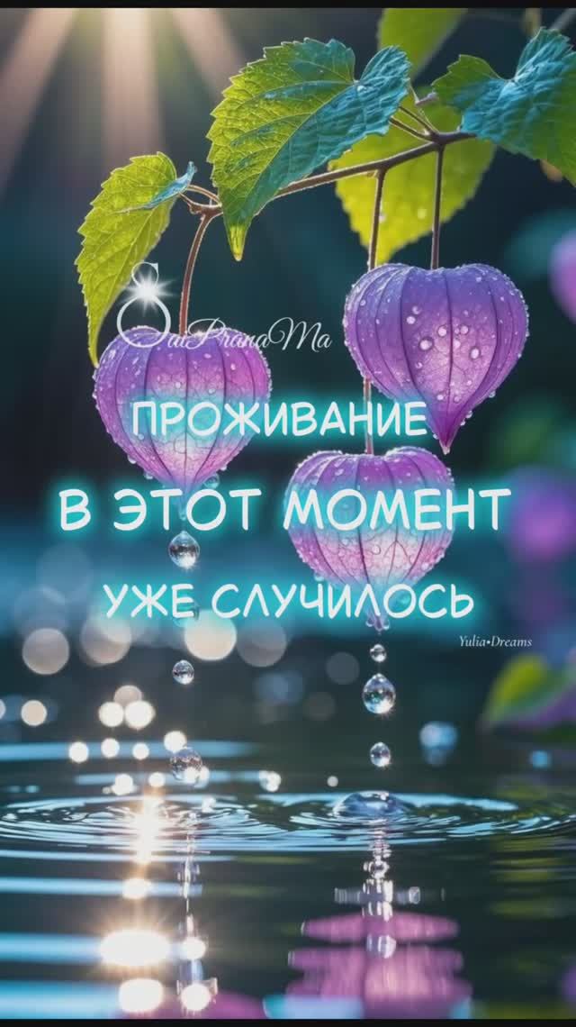 Проживание в этот момент уже случилось #Saiprana #пробуждение #истина #любовь #энергия