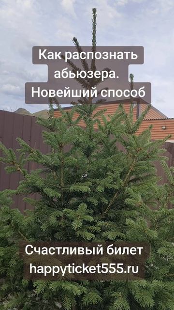 Как распознать абьюзера на первых этапах