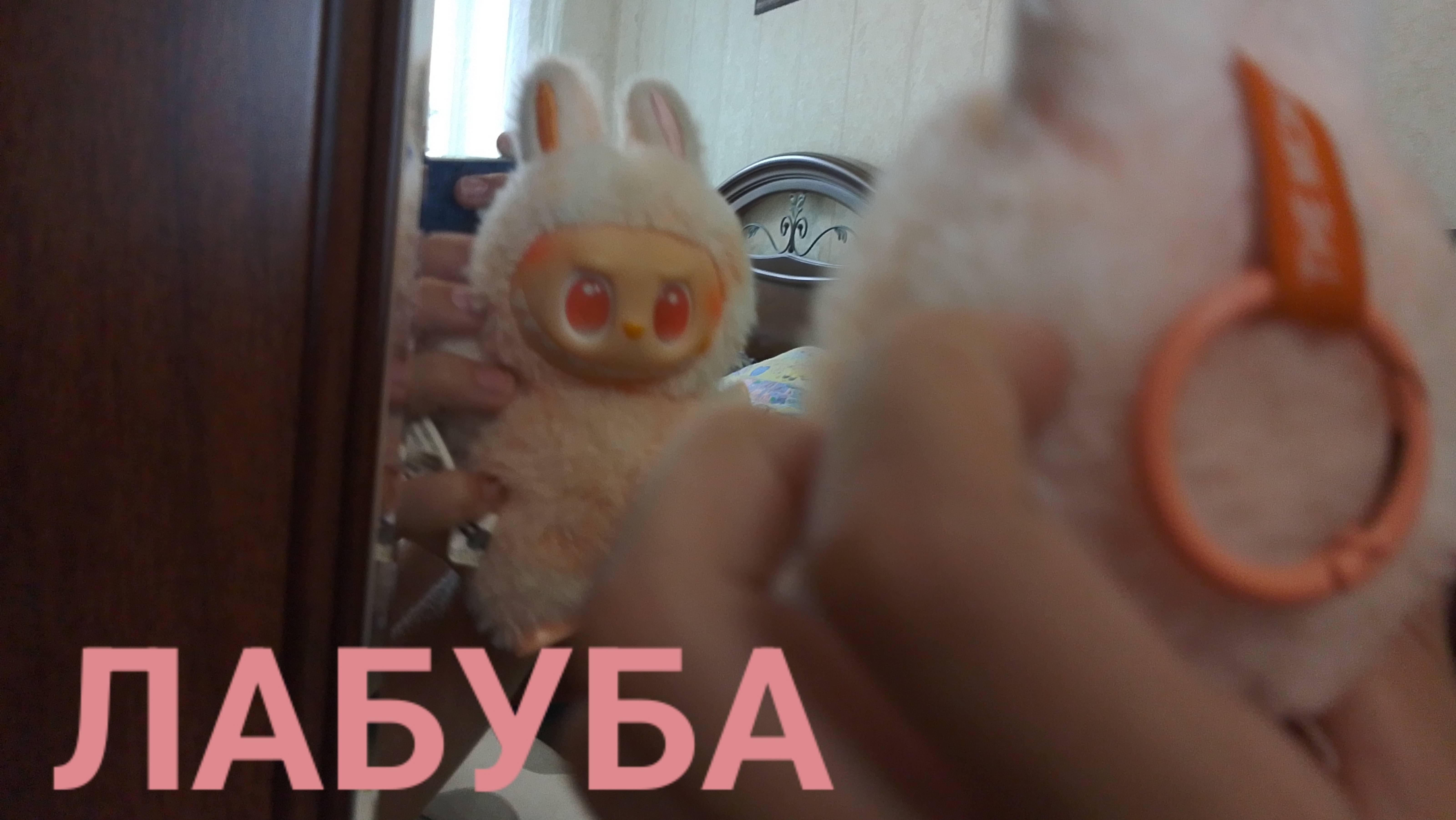 Лабуба