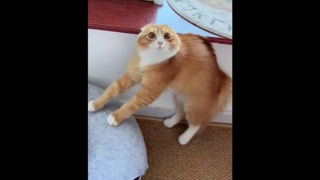 Чубам кошмаров на всю ночь..