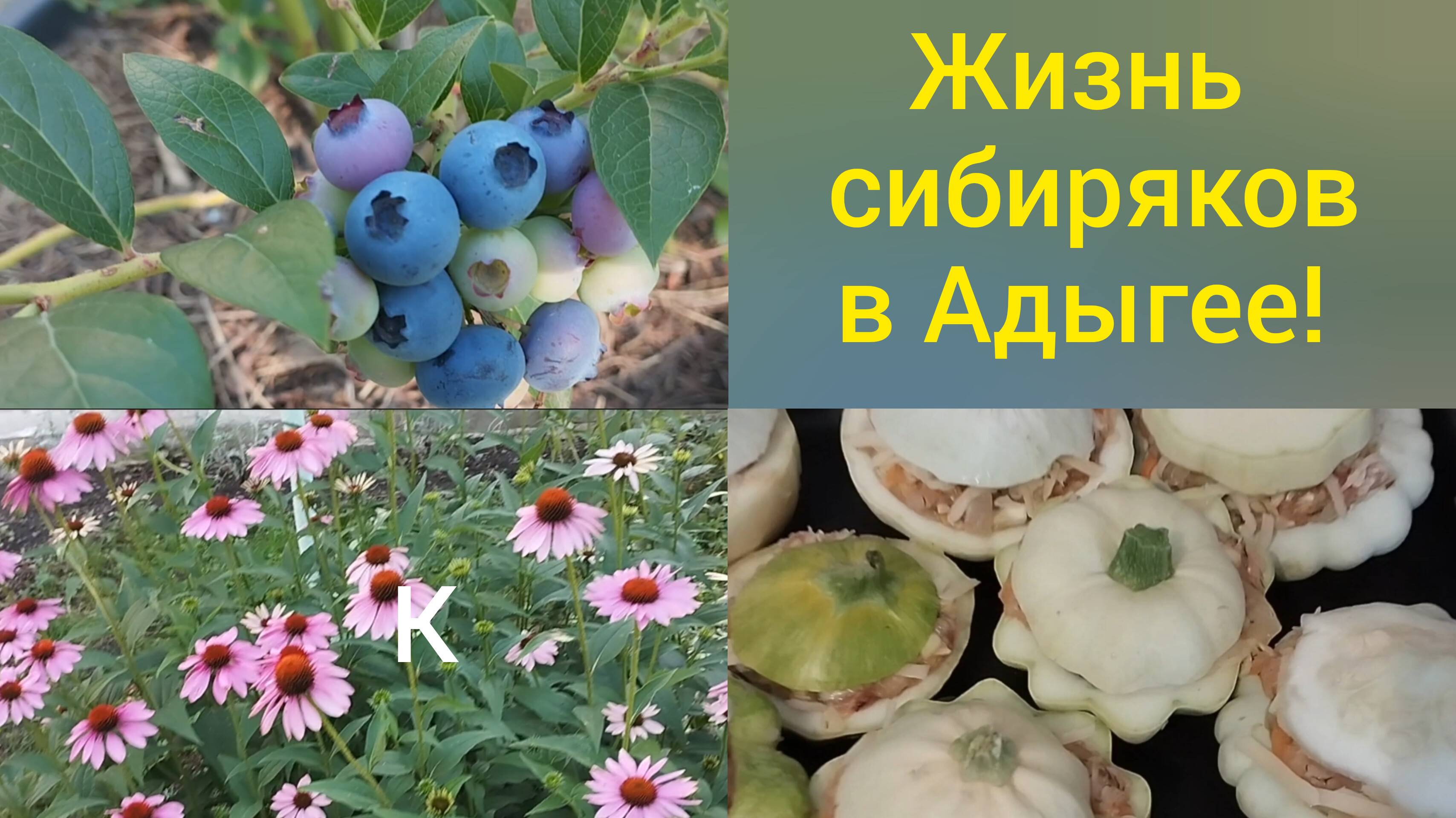 Переехали в Адыгею/Наша жизнь в станице Гиагинской/Почистили клубнику/Фаршированные патиссоны/