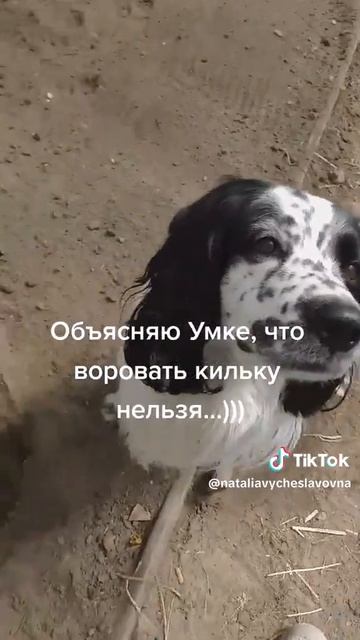 Бубль гум...)))