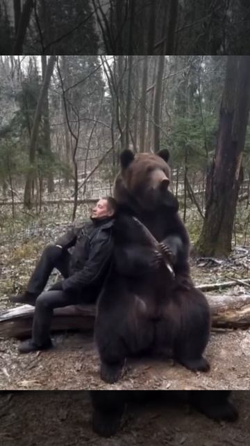 мишка