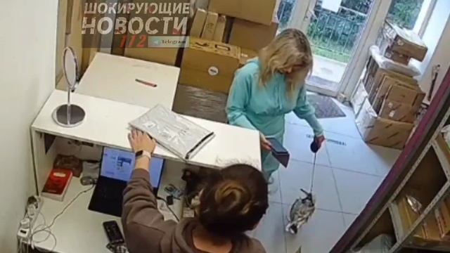Женщина в Питере пришла в пункт выдачи не с собачкой, не с кошечкой, а с чайкой на поводке.