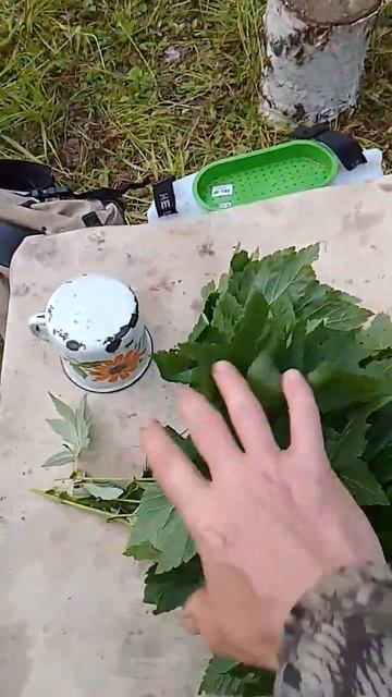Вернулись в лагерь🤣 Будем заваривать вкусный чай ☕️