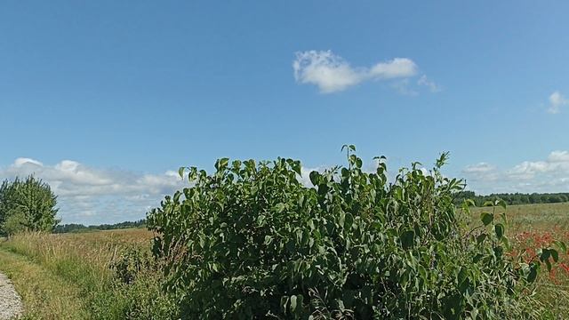 Хорошо.