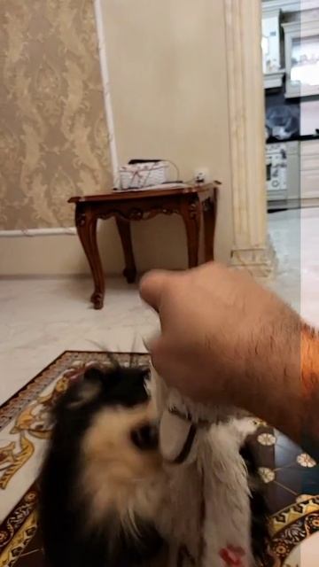 1000098266.mp4