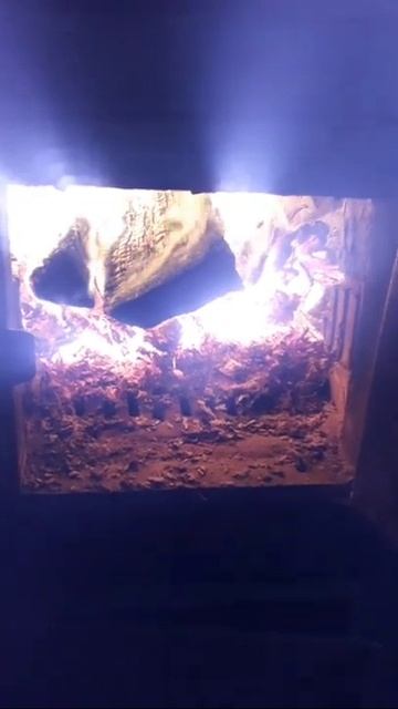 До бесконечности можно смотреть. /из архива/