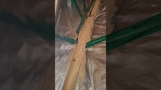1000027307.mp4 (Собака смотрит на строительную часть под и/бруса в доме А-фрейм)